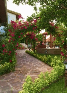 ویلا باغ سرسبز
